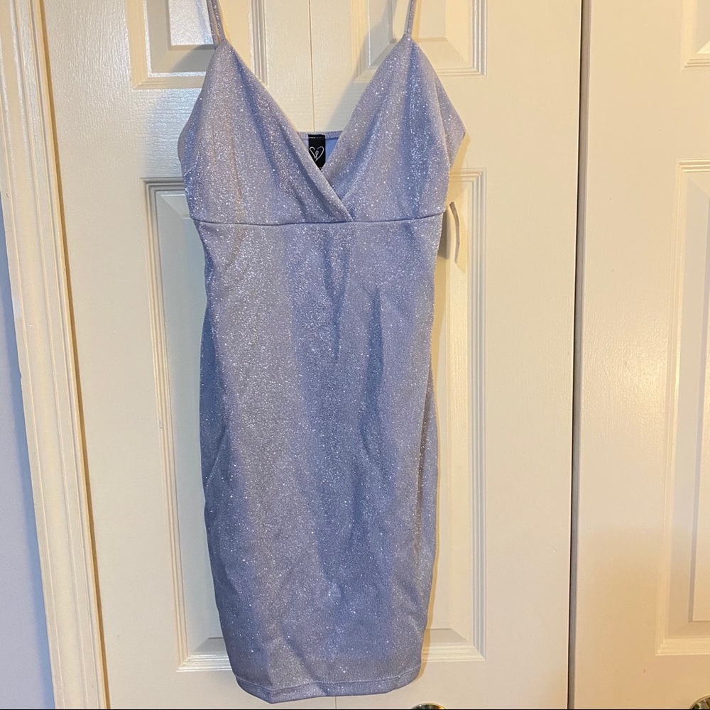 Windsor Party Dress NEVER WORN